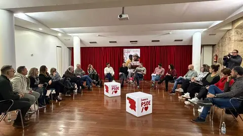 PSOE Zamora Sanidad_2
