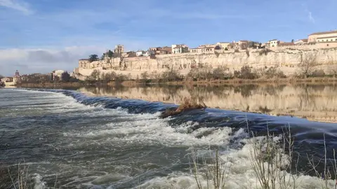 zamora rio