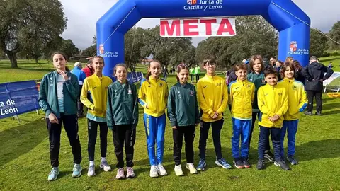 Vino Toro caja rural