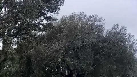 D CADETE MASC. BRUNO