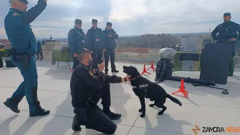  jornadas sobre desapariciones involuntarias en el medio rural _6