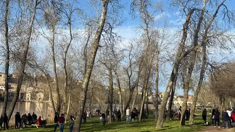 simulacro de una persona desaparecida en Zamora _29