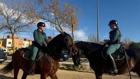 simulacro de una persona desaparecida en Zamora _45