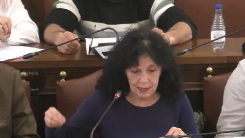 Laura Rivera en el pleno de la Diputaci&oacute;n de Zamora