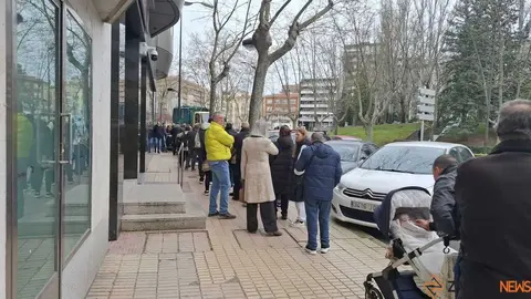 Reparto de plantas Junta de CyL Zamora _4