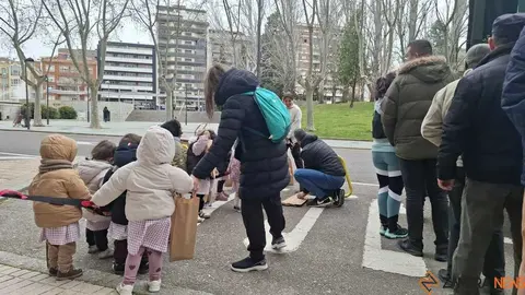 Reparto de plantas Junta de CyL Zamora _5