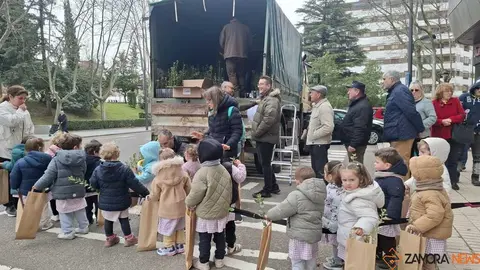 Reparto de plantas Junta de CyL Zamora _6