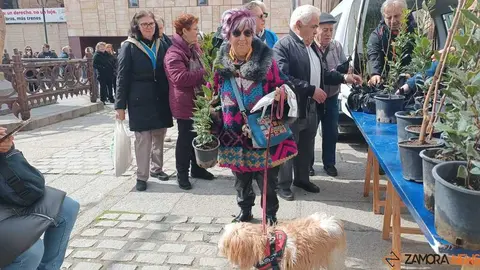 reparto de plantas Diputaci&oacute;n de Zamora _5