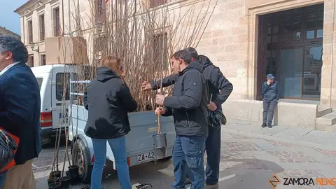 reparto de plantas Diputaci&oacute;n de Zamora _6