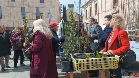 reparto de plantas Diputaci&oacute;n de Zamora _7