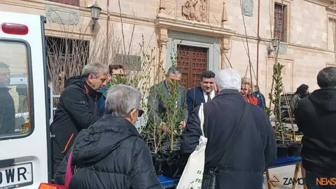 reparto de plantas Diputaci&oacute;n de Zamora _8