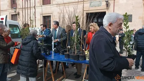 reparto de plantas Diputaci&oacute;n de Zamora _11