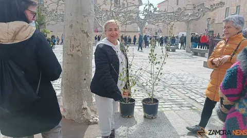 reparto de plantas Diputaci&oacute;n de Zamora _12