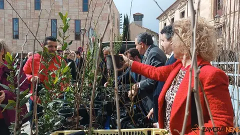 reparto de plantas Diputaci&oacute;n de Zamora _14