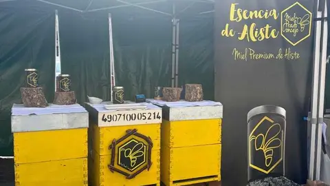 mercado ecol&oacute;gico _5