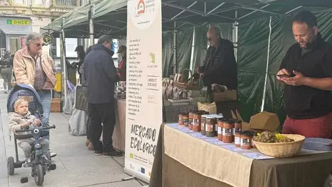 mercado ecol&oacute;gico _12