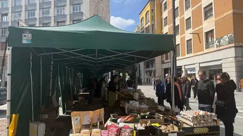 mercado ecol&oacute;gico _13