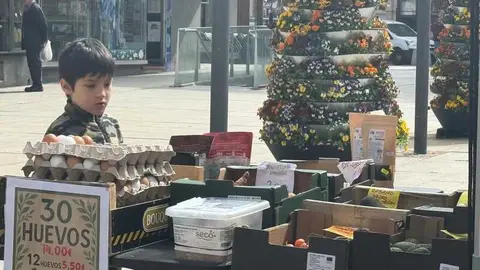 mercado ecol&oacute;gico _15