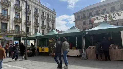 mercado ecol&oacute;gico _20