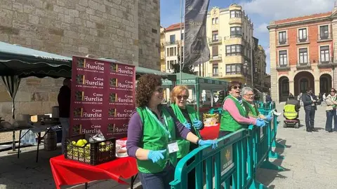 sopas de ajo en Zamora 