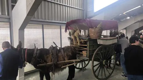 Buches san vitero 2026_5