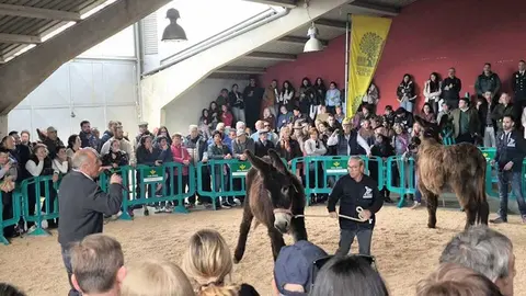 Buches san vitero 2026_8