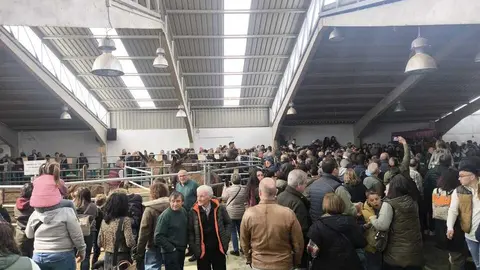 Buches san vitero 2026_9