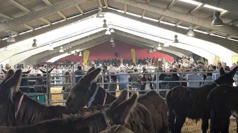 Buches san vitero 2026_12