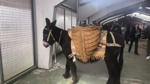 Buches san vitero 2026_13