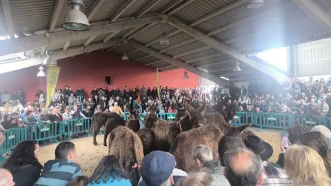 Buches san vitero 2026_14