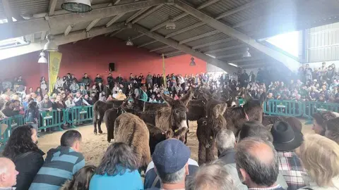 Buches san vitero 2026_16