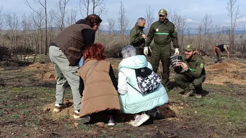 dia del &aacute;rbol mombuey