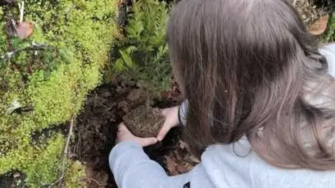 Cryosanabria impulsa la reforestaci&oacute;n en Sanabria tras incendios forestales