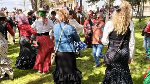 Camino Flamenco Morales del Vino (3)