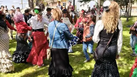 Camino Flamenco Morales del Vino (4)