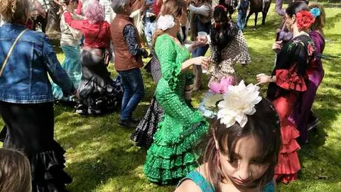 Camino Flamenco Morales del Vino (5)