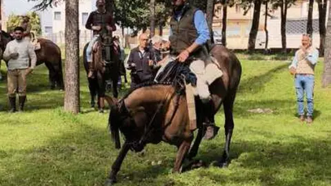 Camino Flamenco Morales del Vino (6)