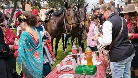 Camino Flamenco Morales del Vino (7)