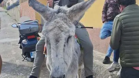 Camino Flamenco Morales del Vino (11)