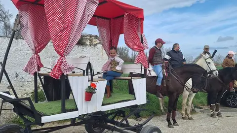 Camino Flamenco Morales del Vino (15)