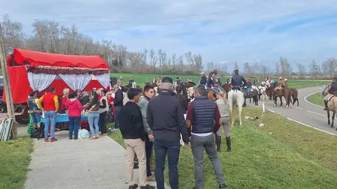 Camino Flamenco Morales del Vino (18)