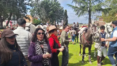 Camino Flamenco Morales del Vino (28)