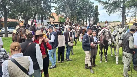 Camino Flamenco Morales del Vino (30)