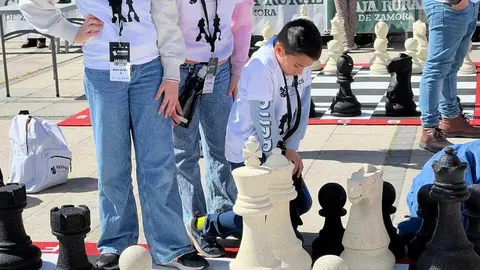 Peque&ntilde;os Gigantes Ajedrez Zamora _11