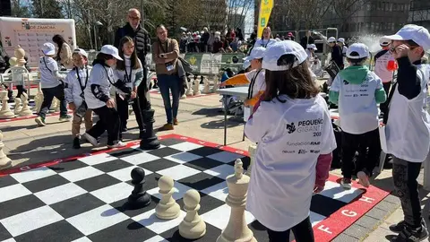 Peque&ntilde;os Gigantes Ajedrez Zamora _15