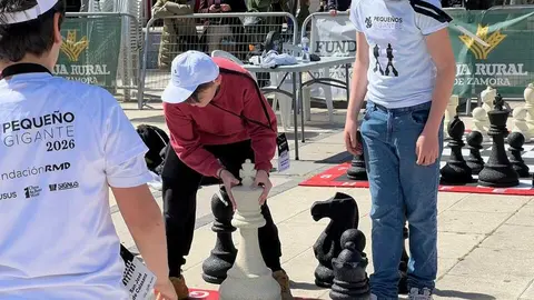 Peque&ntilde;os Gigantes Ajedrez Zamora _18