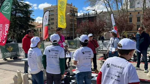 Peque&ntilde;os Gigantes Ajedrez Zamora _20
