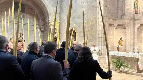 Bendici&oacute;n de palmas Obispo 
