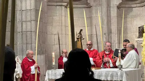 Bendici&oacute;n de palmas Obispo _2