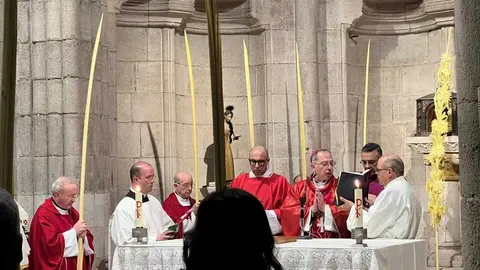 Bendici&oacute;n de palmas Obispo _3